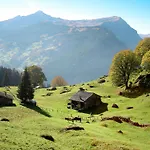 Bei Der Arve 4 Bett By Interhome Apartment *