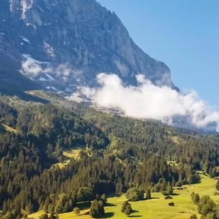 Apartment Chalet Bei Der Arve 4 Bett Wohnung By Interhome Grindelwald