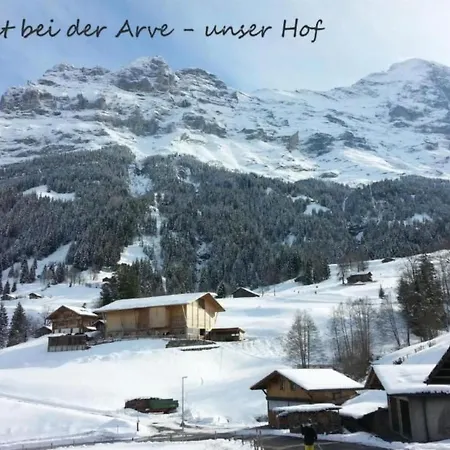Apartamento Bei Der Arve 4 Bett By Interhome