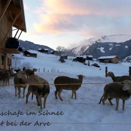 Apartamento Bei Der Arve 4 Bett By Interhome *