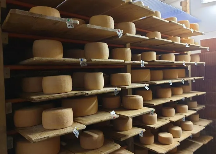 Apartment Bei Der Arve 4 Bett By Interhome *