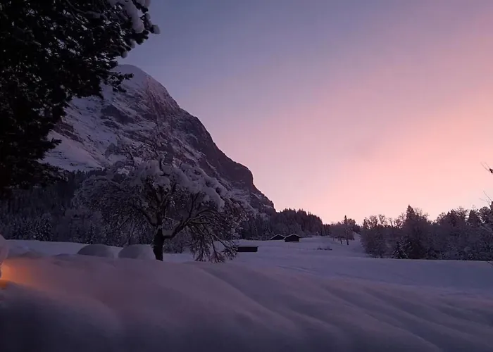 Apartamento Bei Der Arve 4 Bett By Interhome