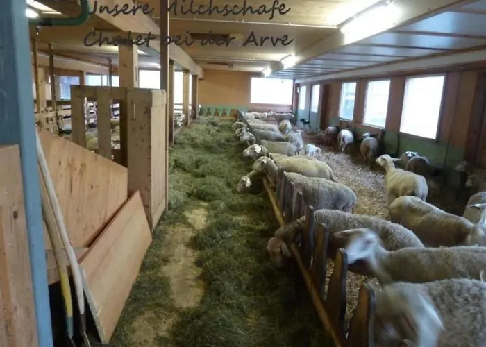 Bei Der Arve 4 Bett By Interhome Apartment *