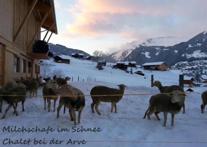 Apartamento Bei Der Arve 4 Bett By Interhome *