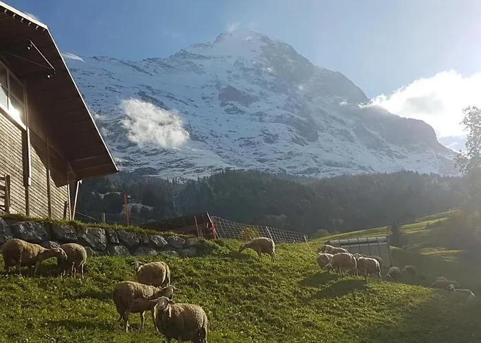 Apartamento Bei Der Arve 4 Bett By Interhome