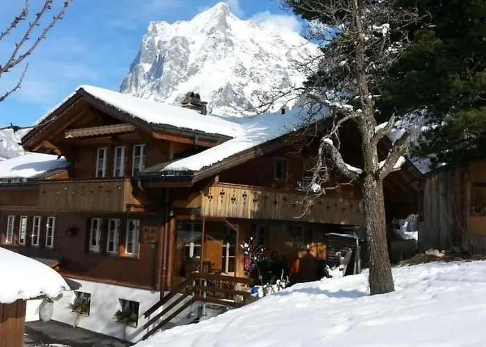 Apartment Bei Der Arve 4 Bett By Interhome *