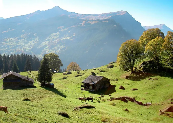 Bei Der Arve 4 Bett By Interhome Apartment *